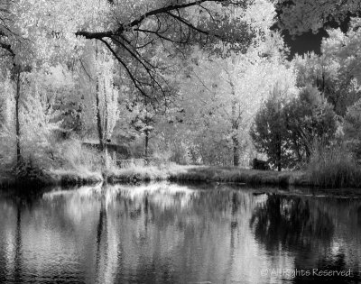 Reflections at Las Golondrinas