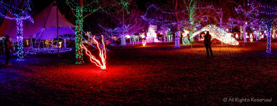 River of Lights 2014