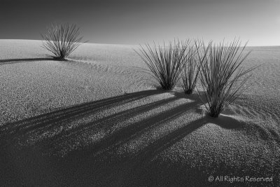 Shadows at White Sands