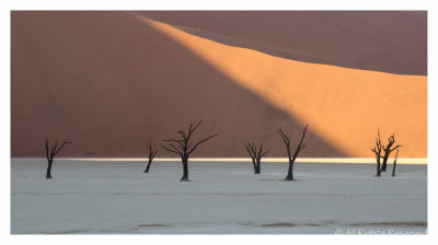 Dead Trees at Dead Vlei