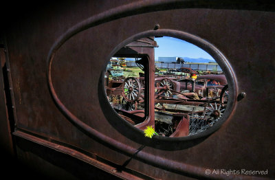 Framed Current and Future Discards