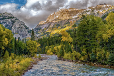 Fall Colors