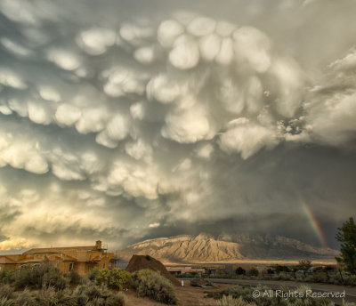 Mammatus over the Sandias