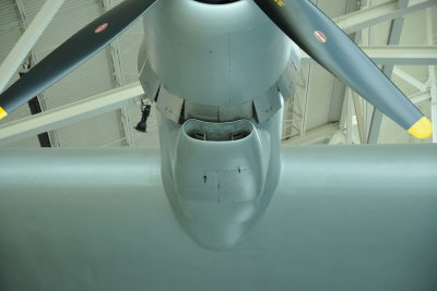 DSC_3066.JPG