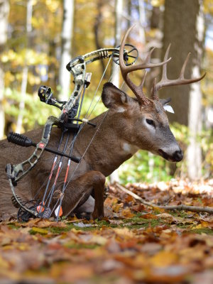 10-15-15 Archery buck