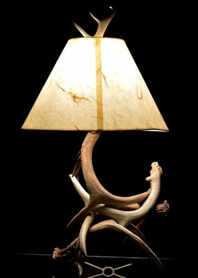 shed antler lamp- 2016