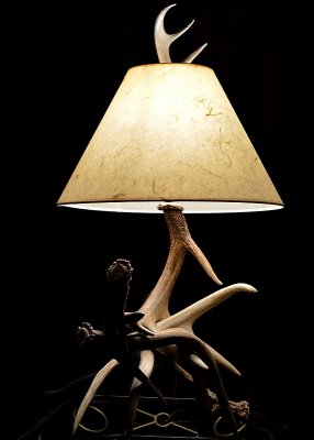 shed antler lamp- 2016