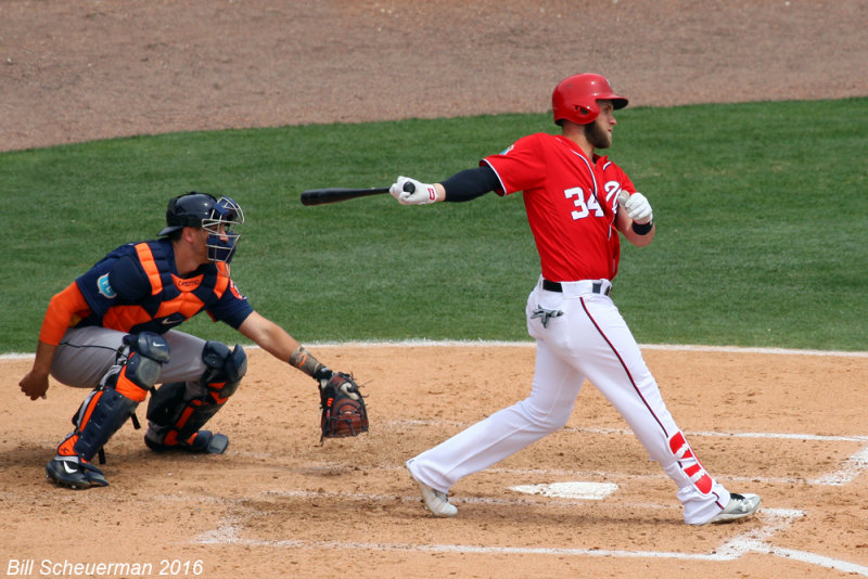 Bryce Harper