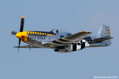 P-51 Bald Eagle