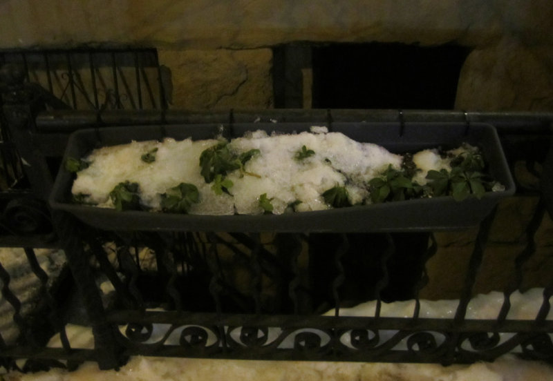 Snowy Icy Plant Box 1.jpg