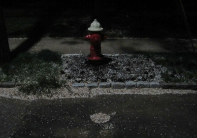 Red White Hydrant Spring Night.jpg