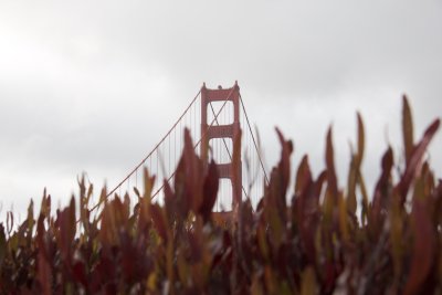 Golden Gate , San Francisco , California