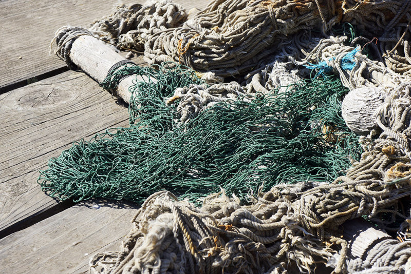 Fishing Net 1.JPG