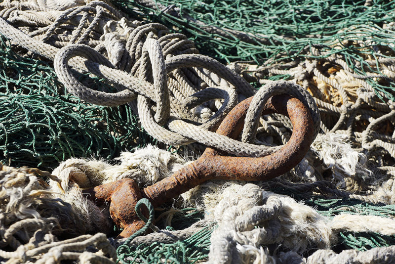 Fishing Net 2.JPG