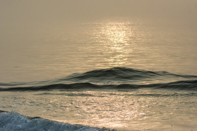 Plum Island National Wildlife Refuge