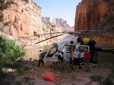 broken leg at Nautiloid Canyon