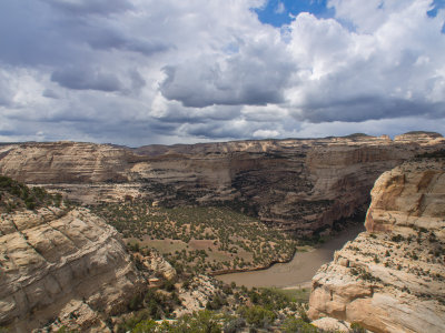 yampa 2013-12.jpg