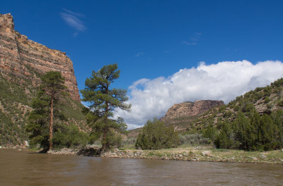 yampa 2013-7.jpg