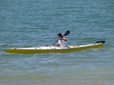 P1010547.jpg
