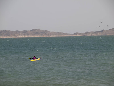P1010577.jpg