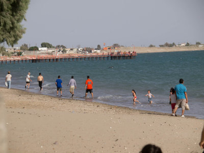 P1010579.jpg