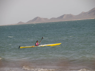 P1010593.jpg