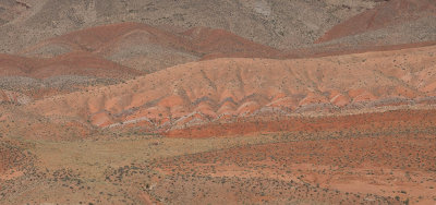 P5220214.jpg