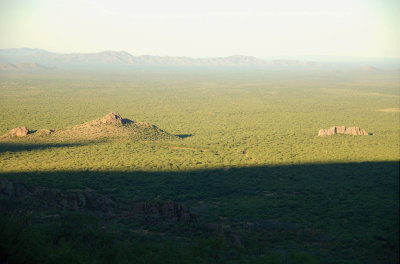 early morning light-4.jpg