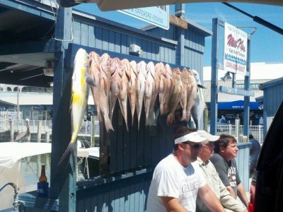 Marco Island, the catch of the day at 