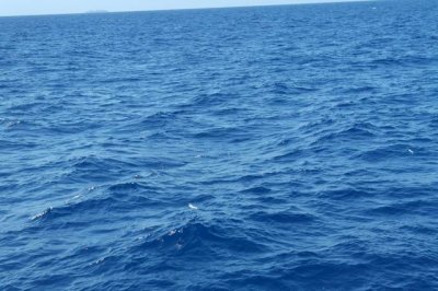 Key West, On Reel Weise (flying fish)