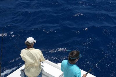 Key West, On Reel Weise (Jeff's catch)