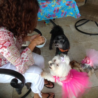 Lili littles the treats