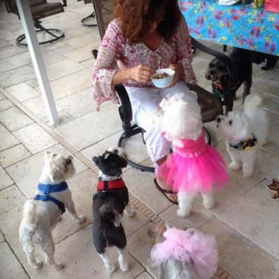 Puppy treats