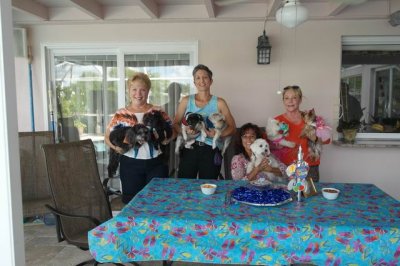 The Puppy Gang