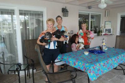 The Puppy Gang