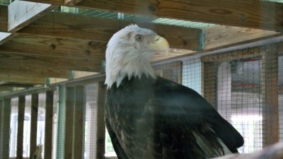 At the Calusa Nature Center