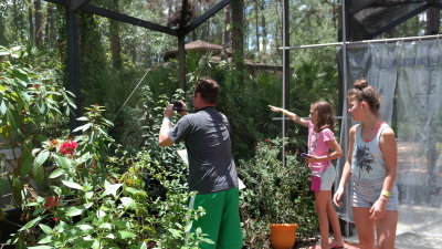 Calusa Nature Center Butterflies