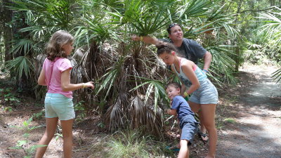 Calusa Nature Center hike