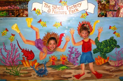 At the Shell Factory