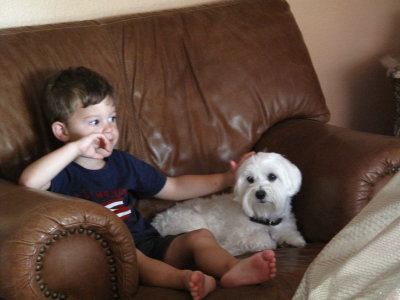 Will and Mojo hanging out