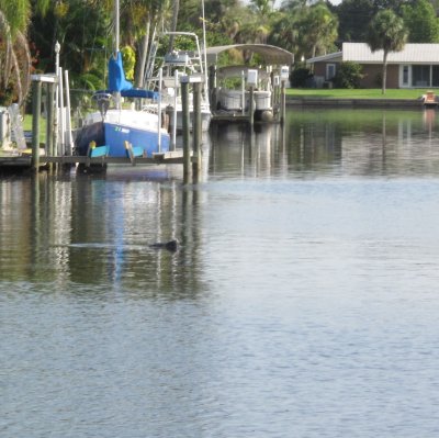 The Mayers visit July 2015