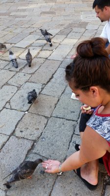 Feeling the birds