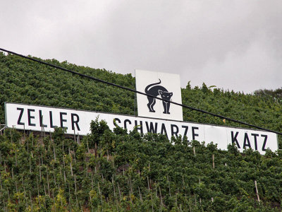 Vineyard at Zell