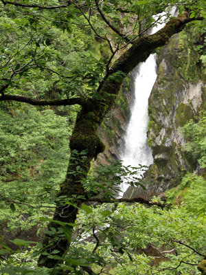 Devils Bridge Falls