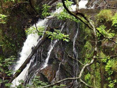 Devils Bridge Falls