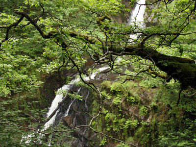 Devils Bridge Falls