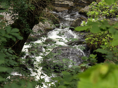 Devils Bridge Falls