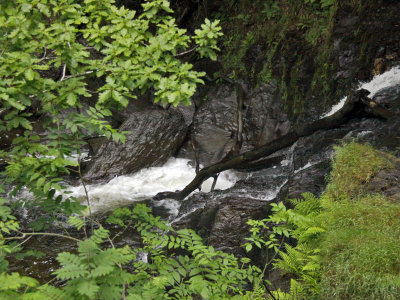 Devils Bridge Falls