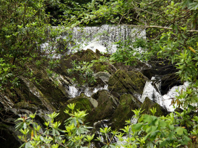 Devils Bridge Falls