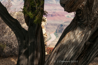 Looking into Grand Canyon, Colorado River